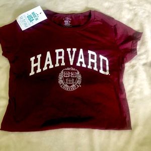 Harvard Logo T shirt